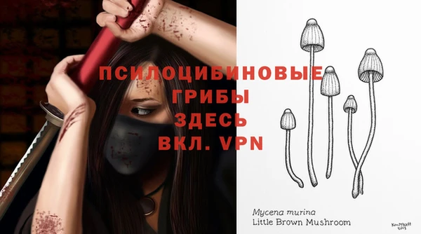 дживик Балабаново
